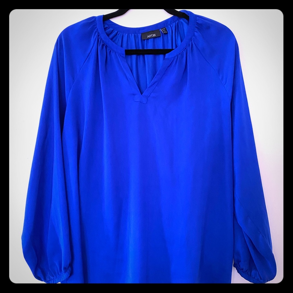 ⭐️Blue Blouse